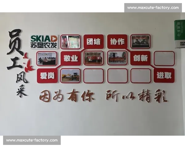 以企业文化为引擎驱动高质量发展凝聚共识共创未来新篇章时代蓝图