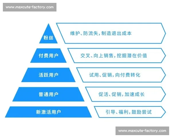 从流量获取到高效转化的全链路增长实战策略解析与用户精细化运营方法